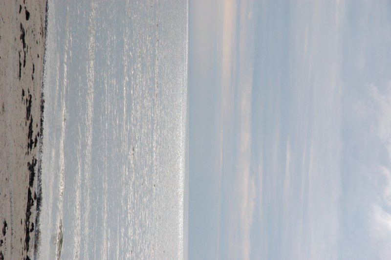 dsc_2336